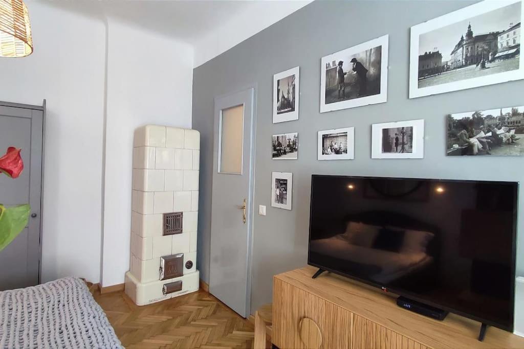 Isac 15 Central Apartment Kaloşvar Dış mekan fotoğraf
